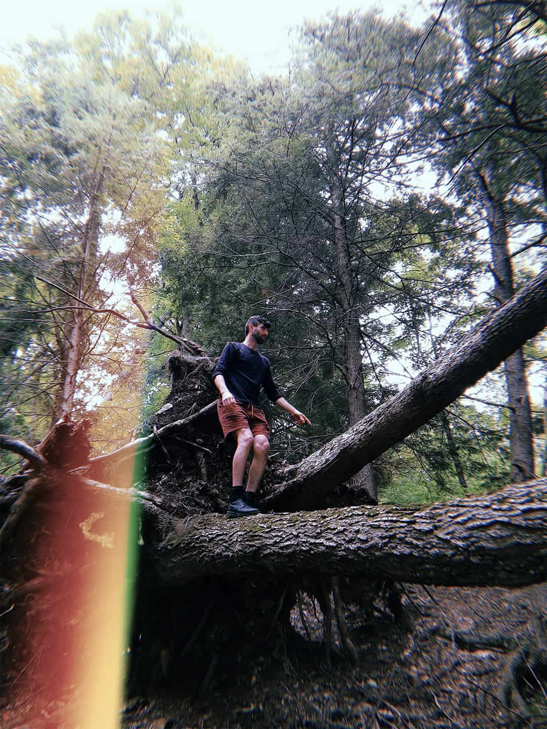 Image of Max Mira climbing a tree for mixed signals interview
